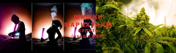 круглые Тайга