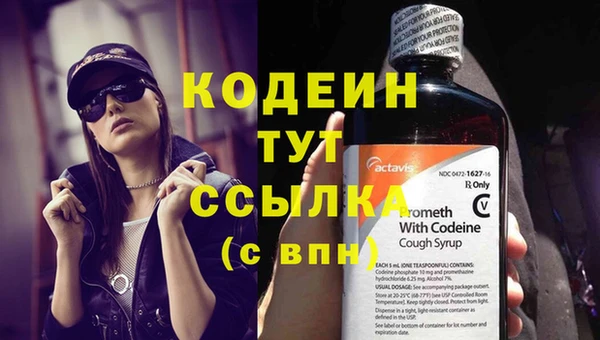 круглые Тайга